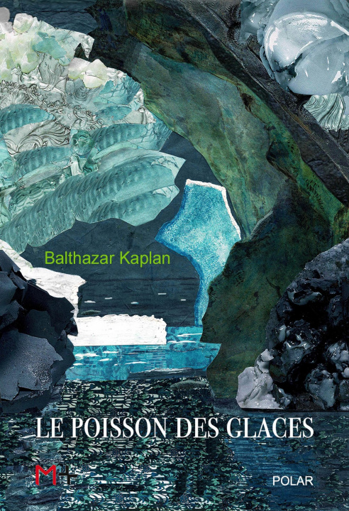 Buch Le poisson des glaces Kaplan