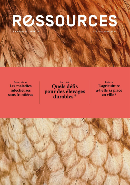 Knjiga Ressources #6 