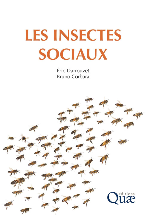 Carte Les insectes sociaux Corbara