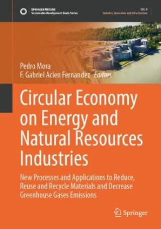 Libro Circular Economy on Energy and Natural Resources Industries Pedro Mora