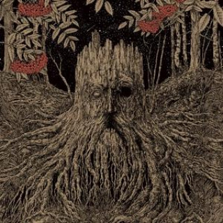 Audio Sacrifice (Digipak) Olhava
