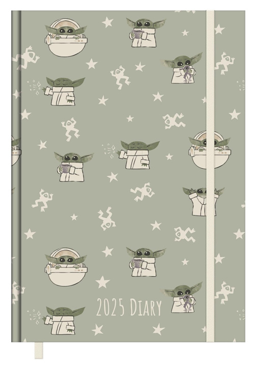 Kalendář/Diář The Mandalorian Taschenkalender 2025 14,5 x 21,5 cm 