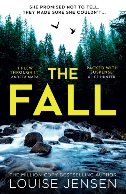 E-knjiga Fall Louise Jensen