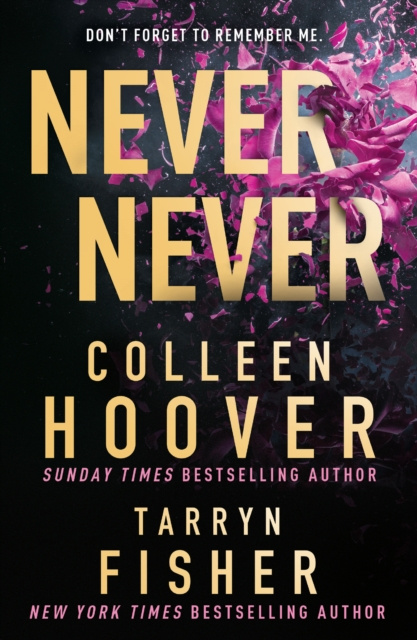 E-book NEVER NEVER EB Colleen Hoover