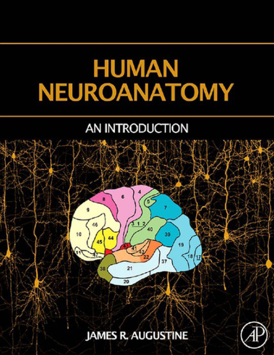 E-Book Human Neuroanatomy James R. Augustine