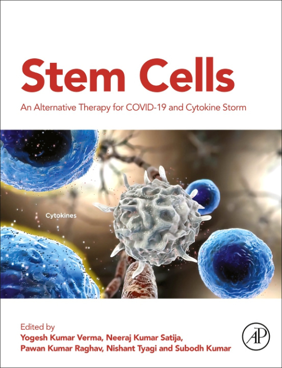 E-kniha Stem Cells Yogesh Kumar Verma