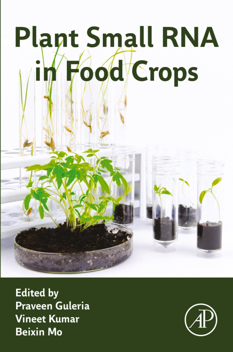 E-Book Plant Small RNA in Food Crops Praveen Guleria