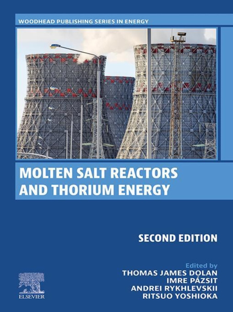 E-kniha Molten Salt Reactors and Thorium Energy Thomas James Dolan