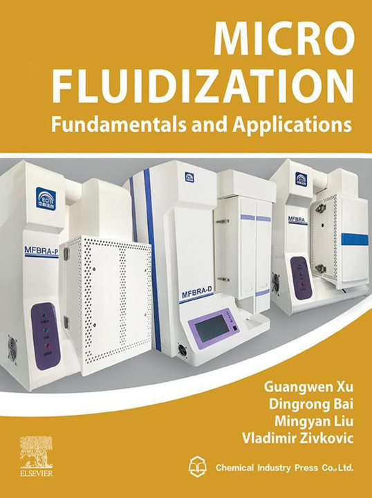E-book Micro Fluidization Guangwen Xu