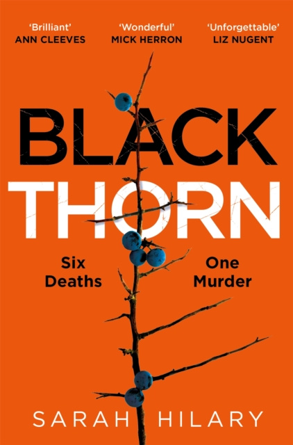 E-kniha Black Thorn Sarah Hilary