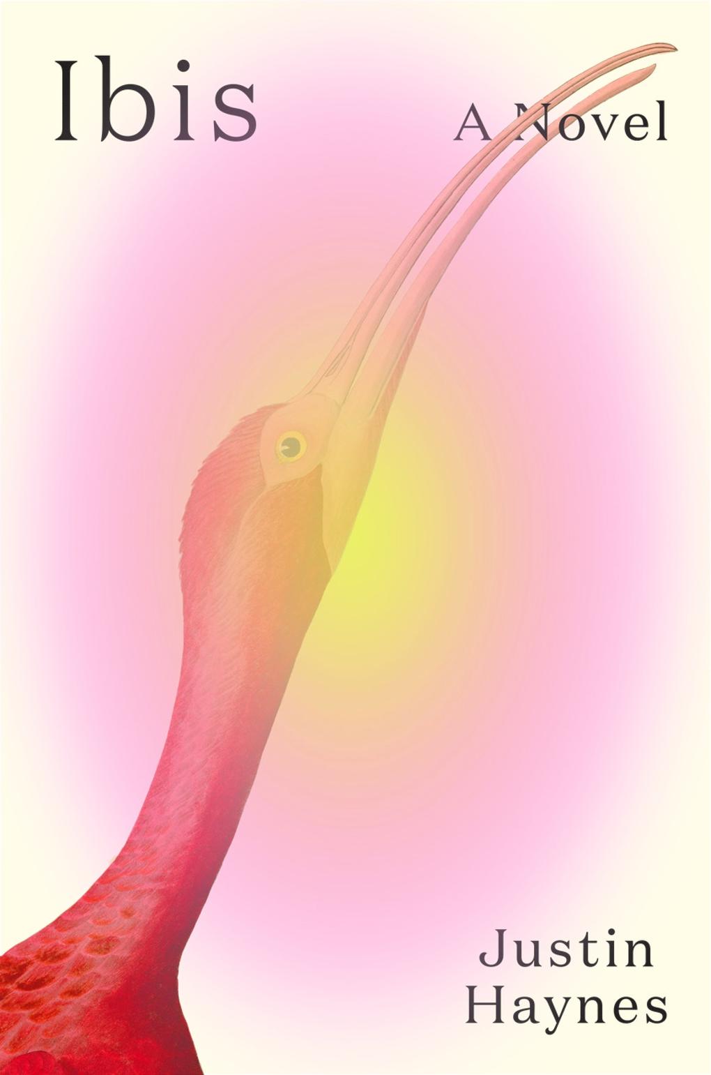 Carte Ibis Haynes