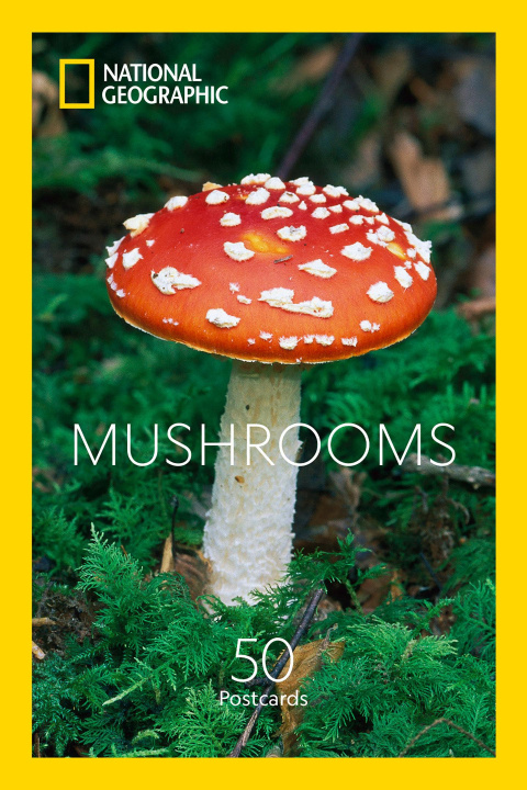 Kniha Mushrooms Postcards 