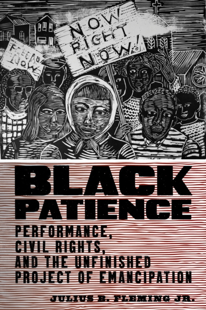 E-knjiga Black Patience Julius B. Fleming Jr.