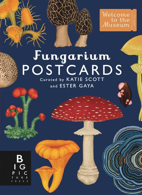 Hra/Hračka Fungarium Postcard Box Set Katie Scott