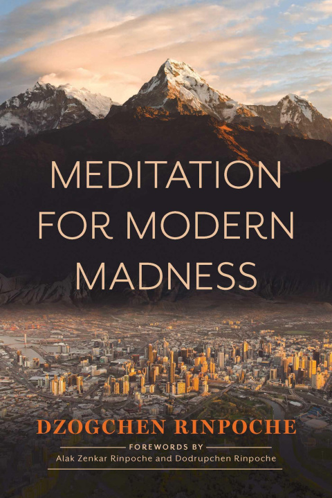 Książka Meditation for Modern Madness 