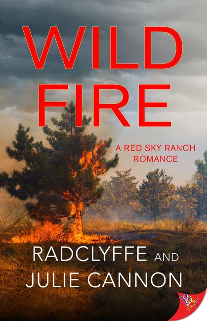 Book Wild Fire Julie Cannon