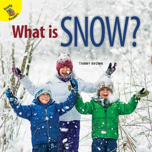 E-knjiga What is Snow? Tammy Brown