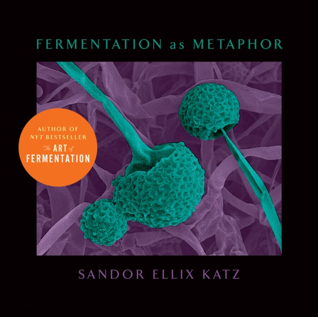 E-kniha Fermentation as Metaphor Sandor Ellix Katz