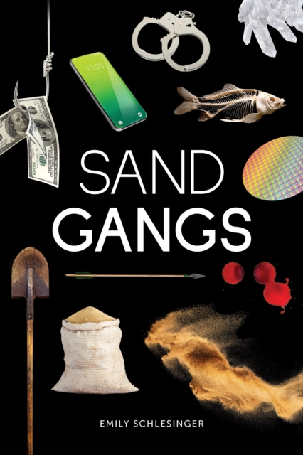 E-knjiga Sand Gangs Schlesinger Emily Schlesinger