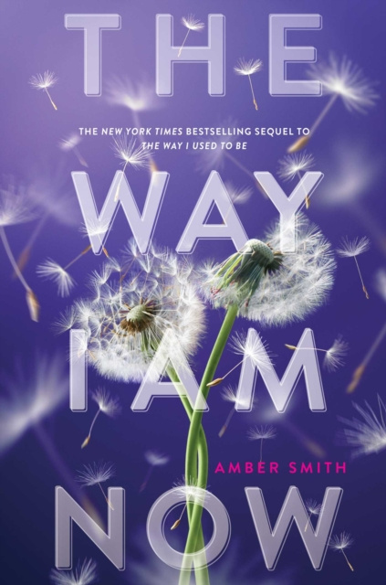 E-book Way I Am Now Amber Smith