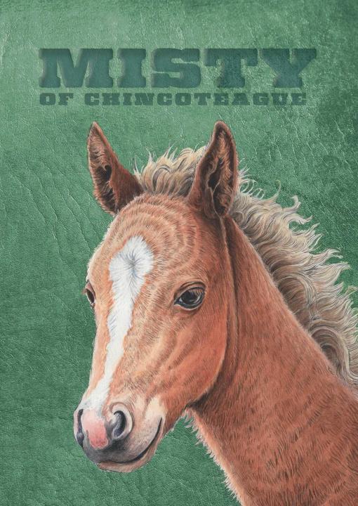 Kniha Misty of Chincoteague Wesley Dennis
