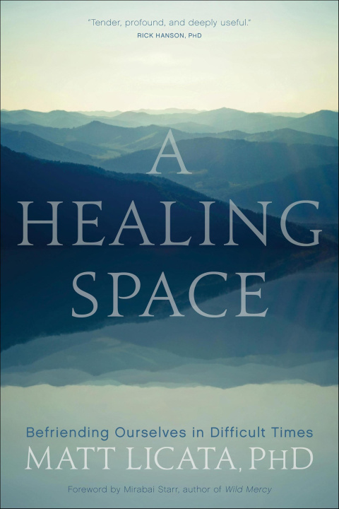 E-book Healing Space Matt Licata