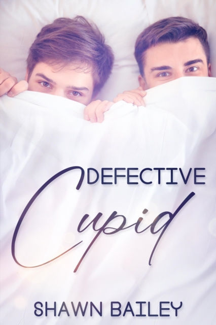 E-Book Defective Cupid Shawn Bailey