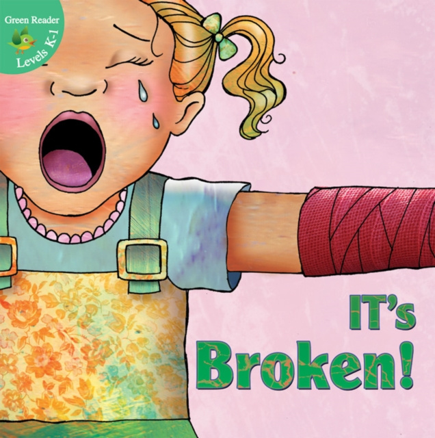 E-book It's Broken! Meg Greve