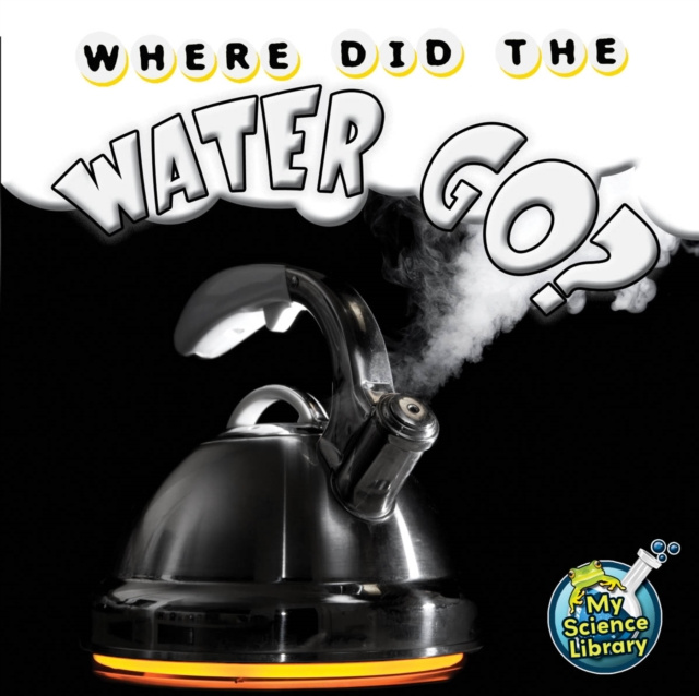 E-knjiga Where Did The Water Go? Amy S. Hansen