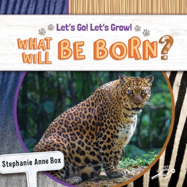 E-knjiga What Will Be Born? Stephanie Anne Box