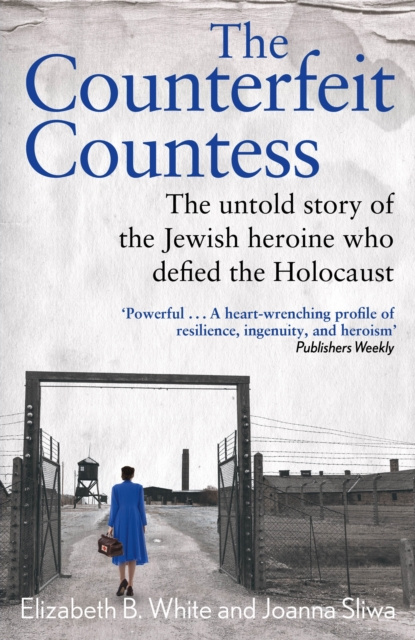 ebook Counterfeit Countess, The Elizabeth White