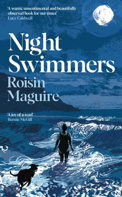 Livre numérique Night Swimmers Roisin Maguire