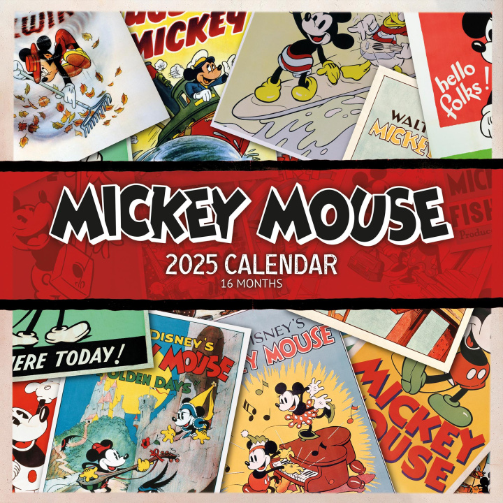 Kalendář/Diář Mickey & Minnie Mouse 2025 30X30 Broschürenkalender 