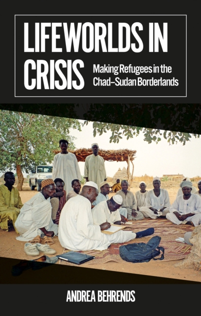 E-book Lifeworlds in Crisis Andrea Behrends