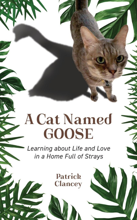 Buch A Cat Named Goose Patrick Clancey