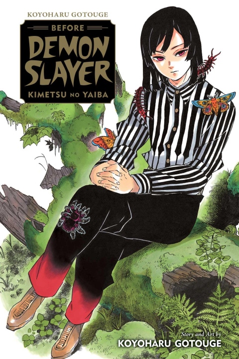 Książka Koyoharu Gotouge Before Demon Slayer: Kimetsu no Yaiba Koyoharu Gotouge