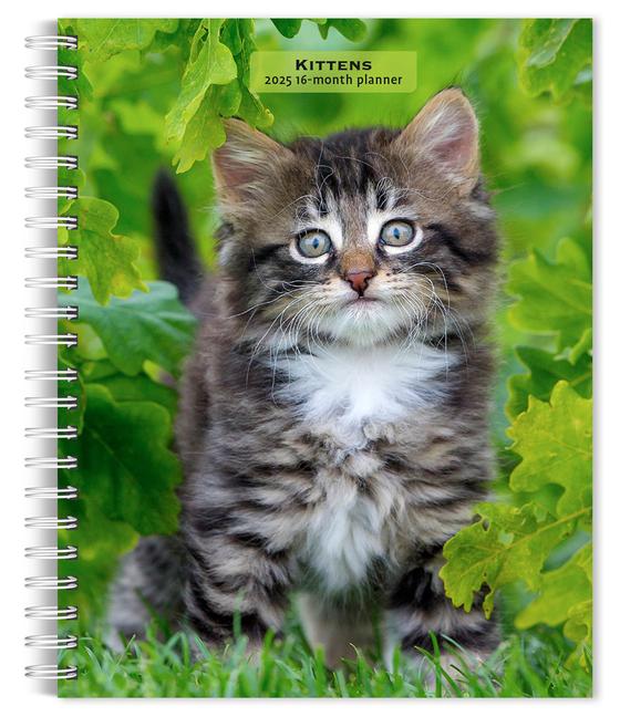 Kalendář/Diář Kittens 2025 6 X 7.75 Inch Spiral-Bound Wire-O Weekly Engagement Planner Calendar New Full-Color Image Every Week 