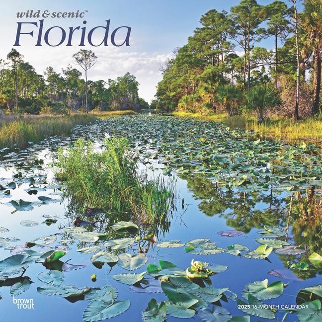 Kalendár/Diár Florida Wild & Scenic 2025 12 X 24 Inch Monthly Square Wall Calendar Plastic-Free 