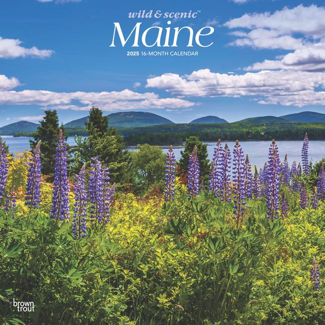 Kalender/Terminbuch Maine Wild & Scenic 2025 12 X 24 Inch Monthly Square Wall Calendar Plastic-Free 