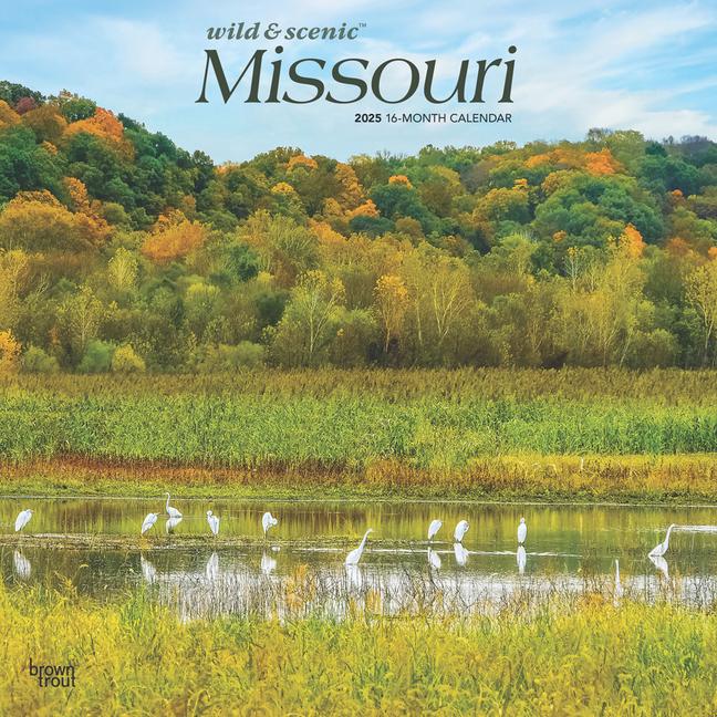 Naptár/Határidőnapló Missouri Wild & Scenic 2025 12 X 24 Inch Monthly Square Wall Calendar Plastic-Free 