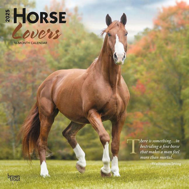 Calendar/Diary Horse Lovers 2025 12 X 24 Inch Monthly Square Wall Calendar Plastic-Free 