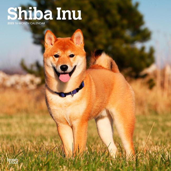 Kalendář/Diář Shiba Inu 2025 12 X 24 Inch Monthly Square Wall Calendar Plastic-Free 