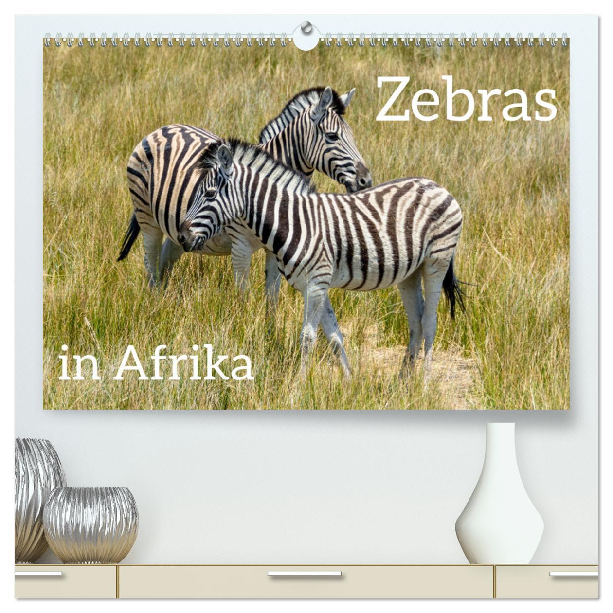 Naptár/Határidőnapló Zebras in Afrika (hochwertiger Premium Wandkalender 2025 DIN A2 quer), Kunstdruck in Hochglanz 