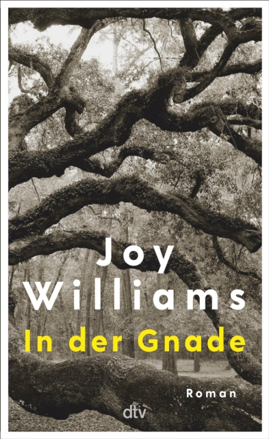 E-kniha In der Gnade Joy Williams