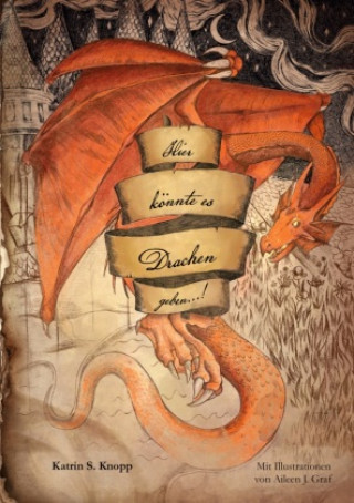 Buch Hier könnte es Drachen geben...! Katrin S. Knopp