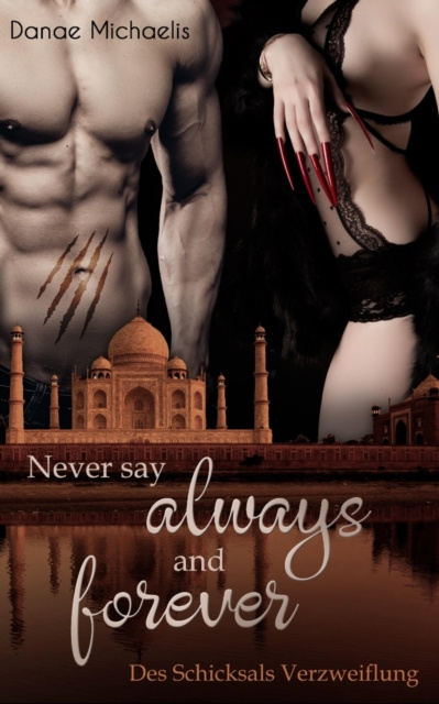 E-book Never say always and forever Danae Michaelis
