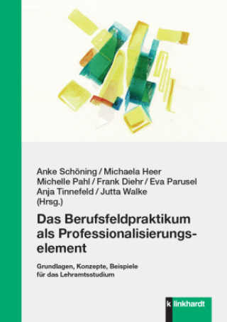 Kniha Das Berufsfeldpraktikum als Professionalisierungselement Michaela Heer