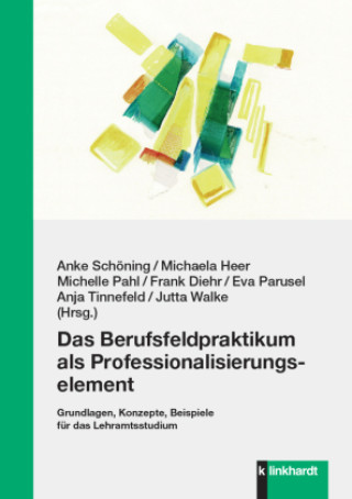 Knjiga Das Berufsfeldpraktikum als Professionalisierungselement Michaela Heer