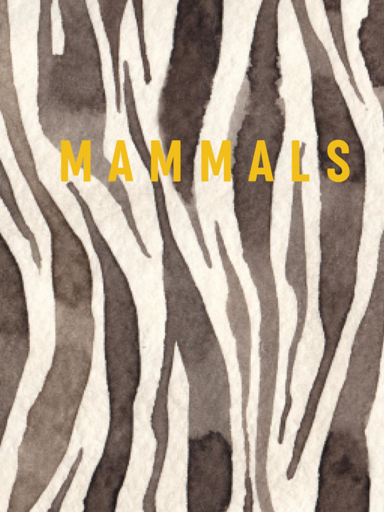 Knjiga MAMMALS NEW HOLLAND