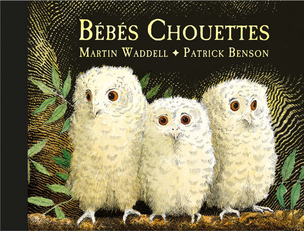 Buch Bébés Chouettes Benson Patrick